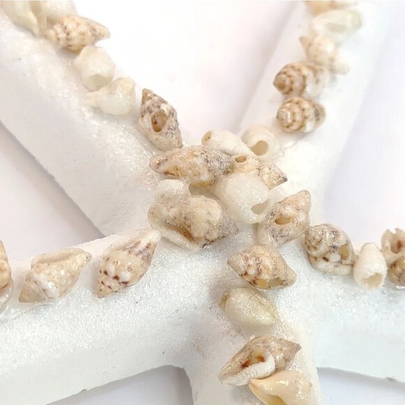 Starfish and Seashell Wall Hanging Decor Nautical Coastal Decor NWT see details - Picture 12 of 14